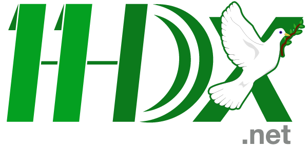 11dxnet Logo